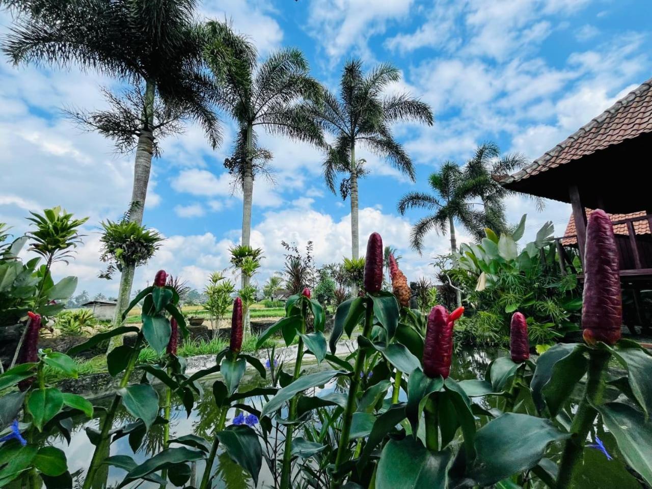 Umadesa Villa Tegallalang Ubud