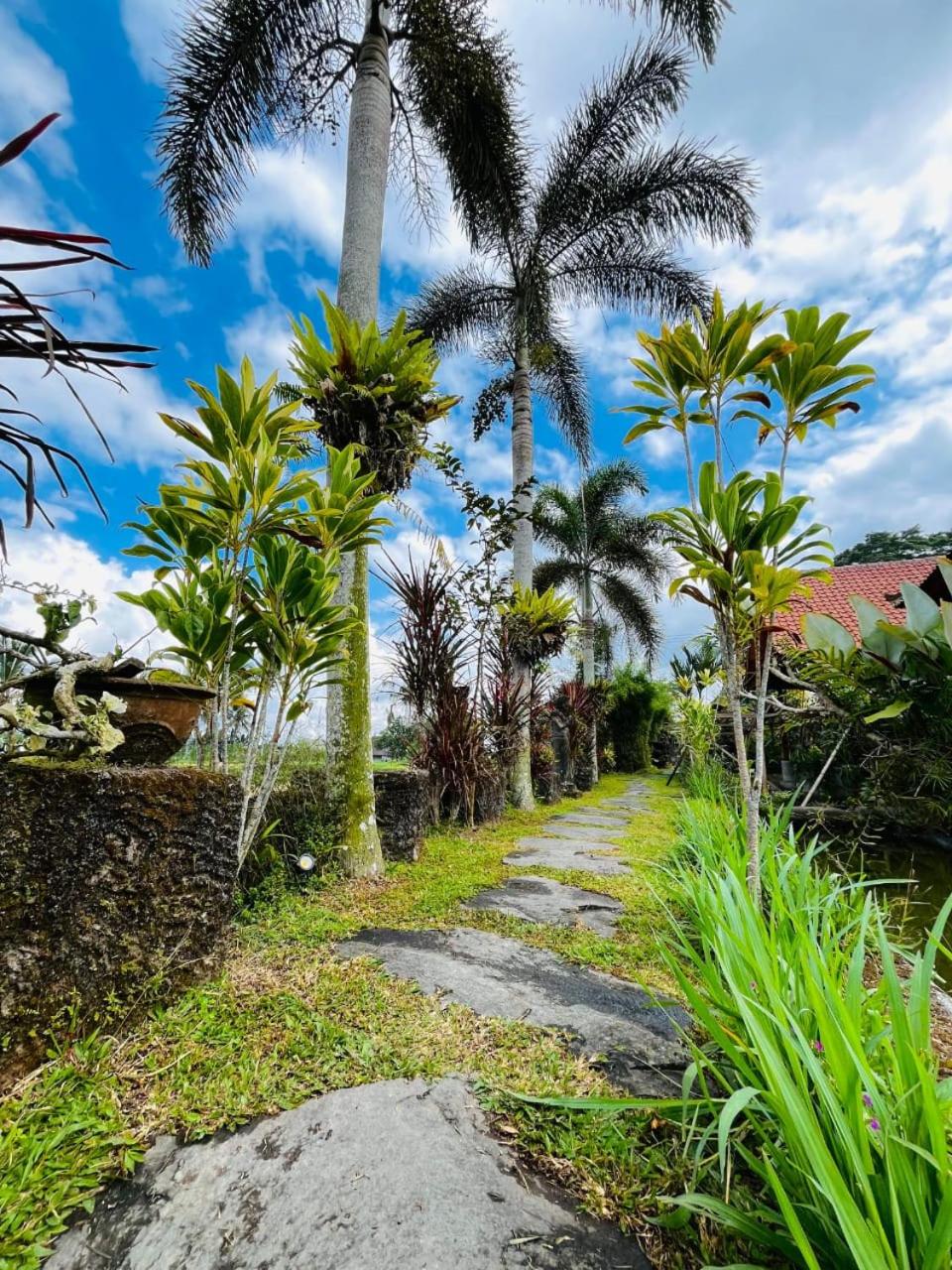 Umadesa Villa Tegallalang Ubud
