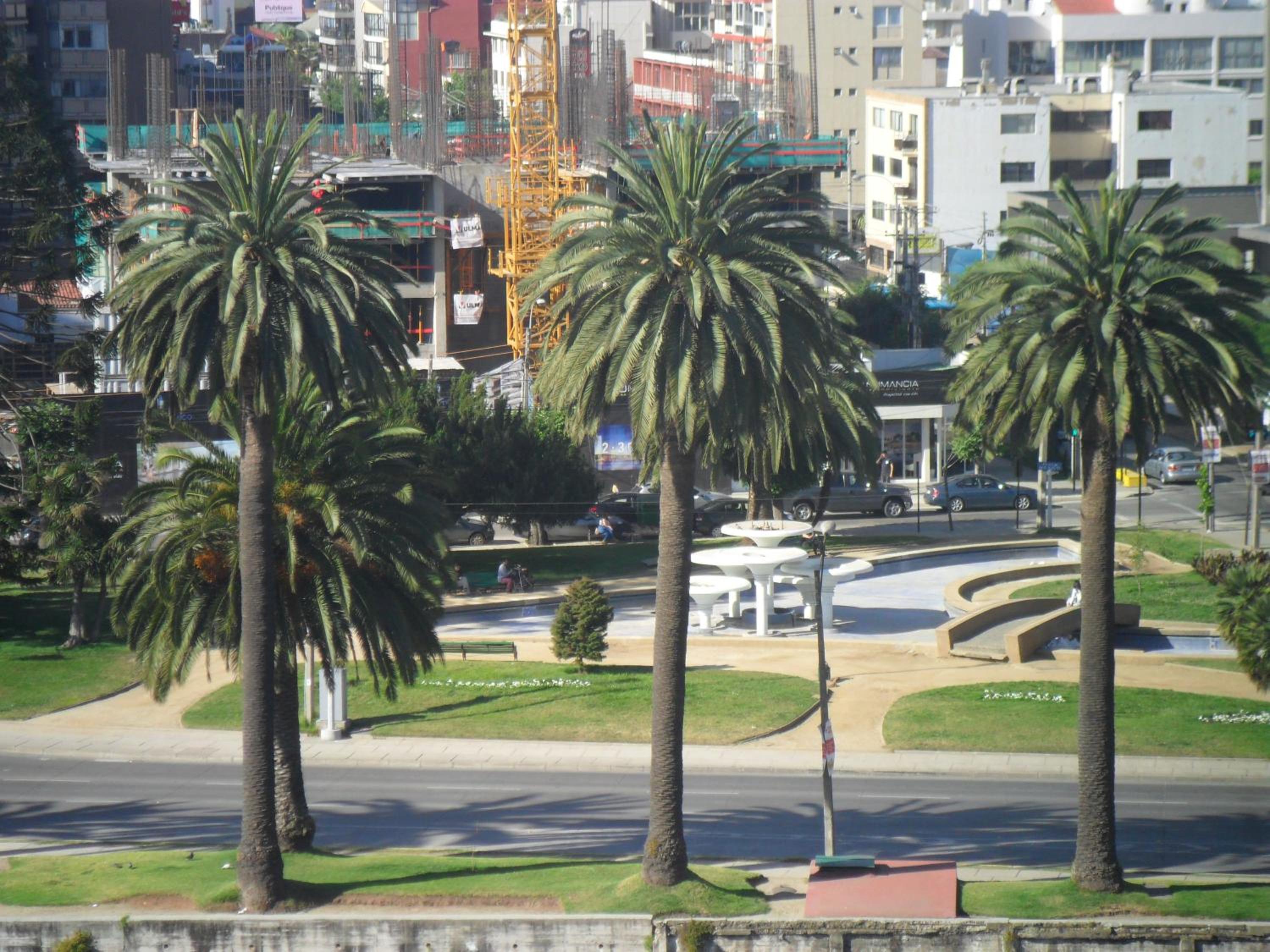 Departamento Viña del Mar Rapa Nui
