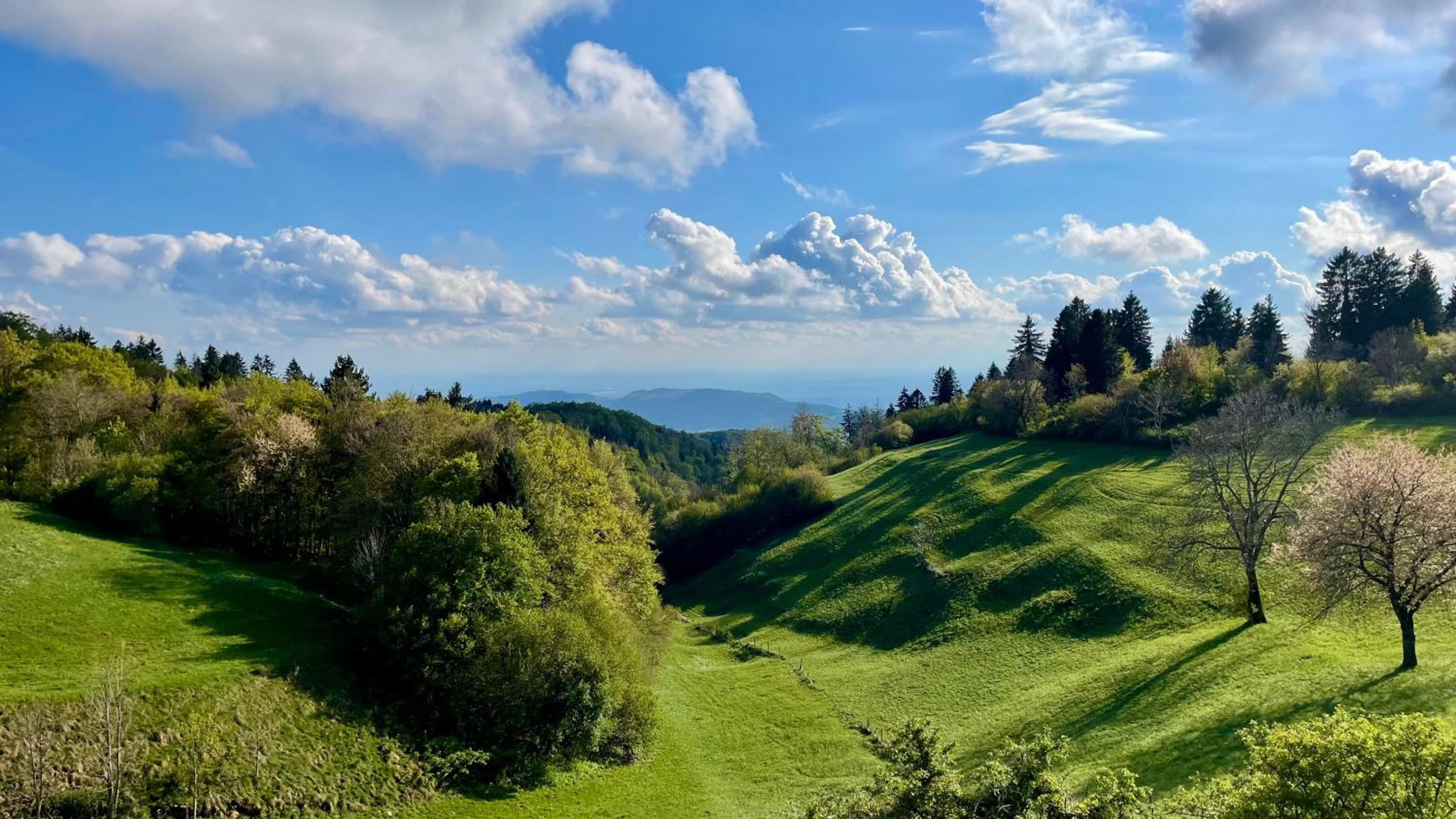 B&B dalla Eli photo 2