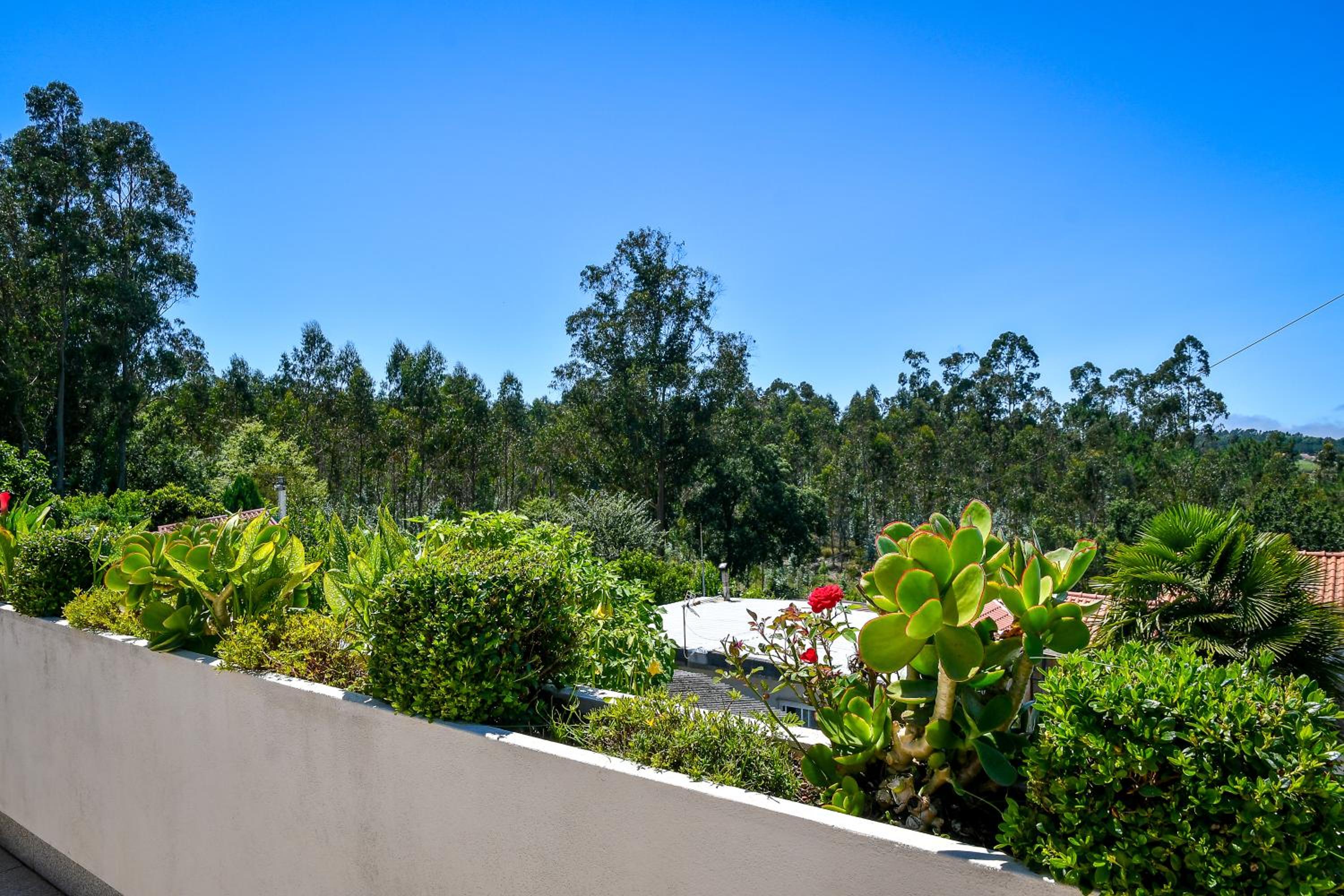 Lovely Home with Amazing Views
