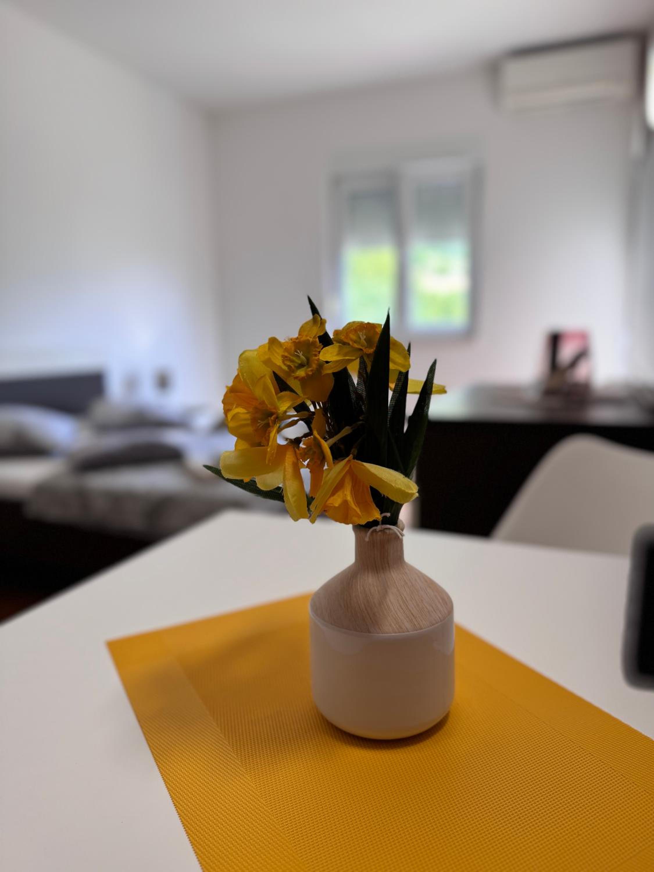 Apartments San Monte