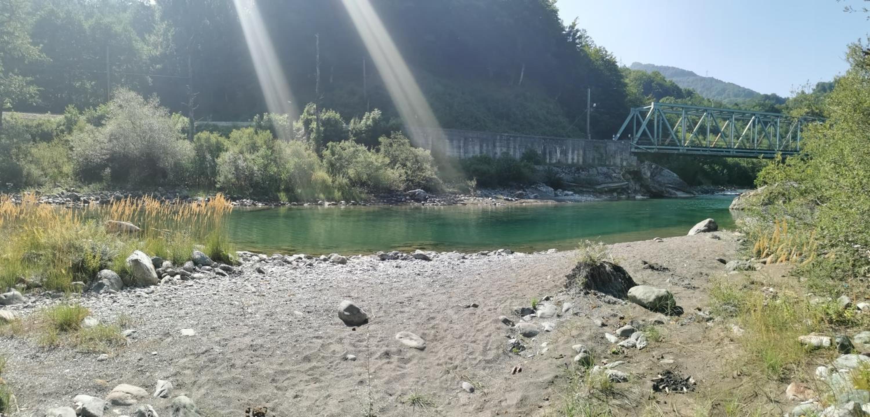Pine corner Mojkovac