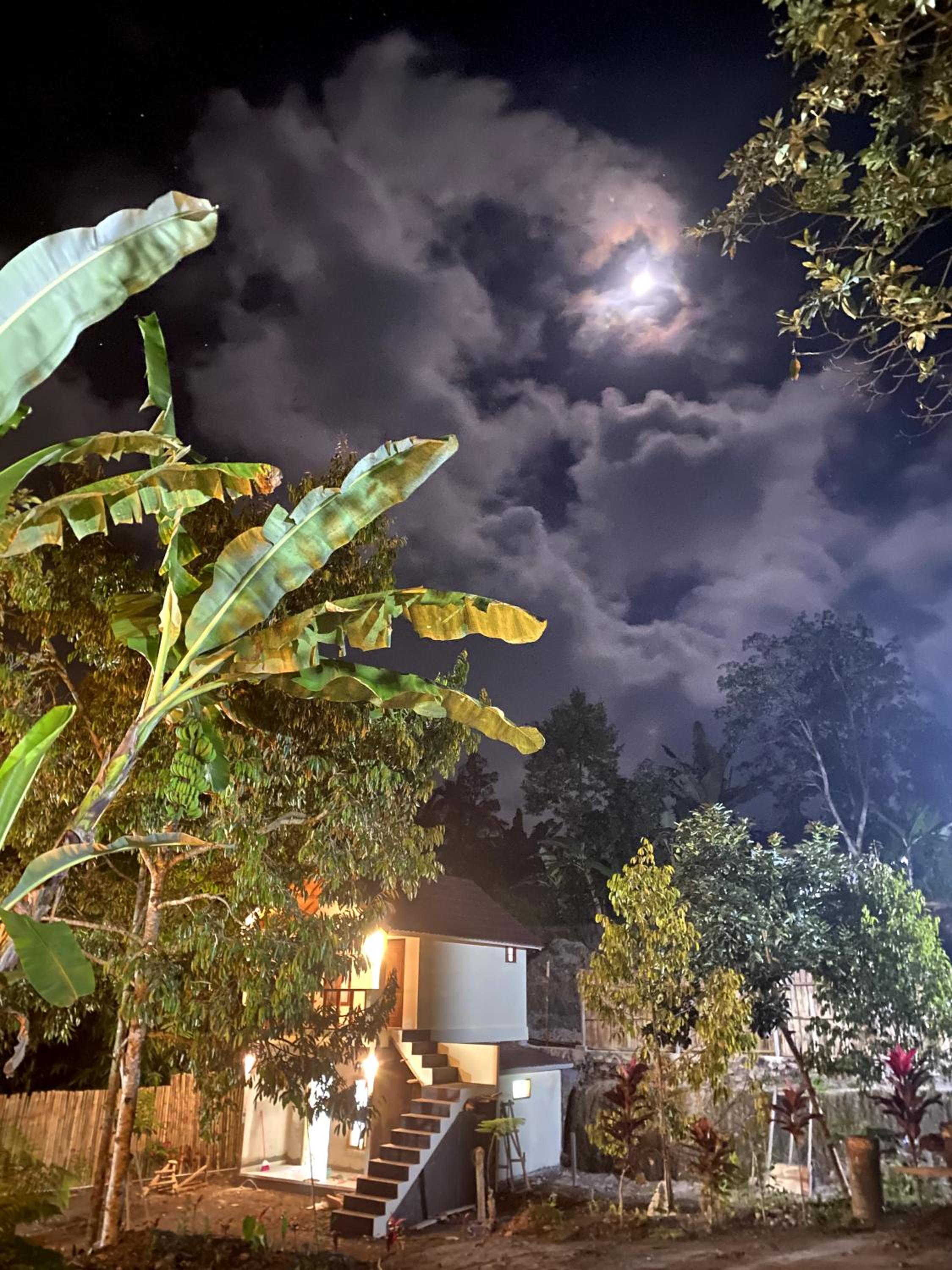 Avocado homestay