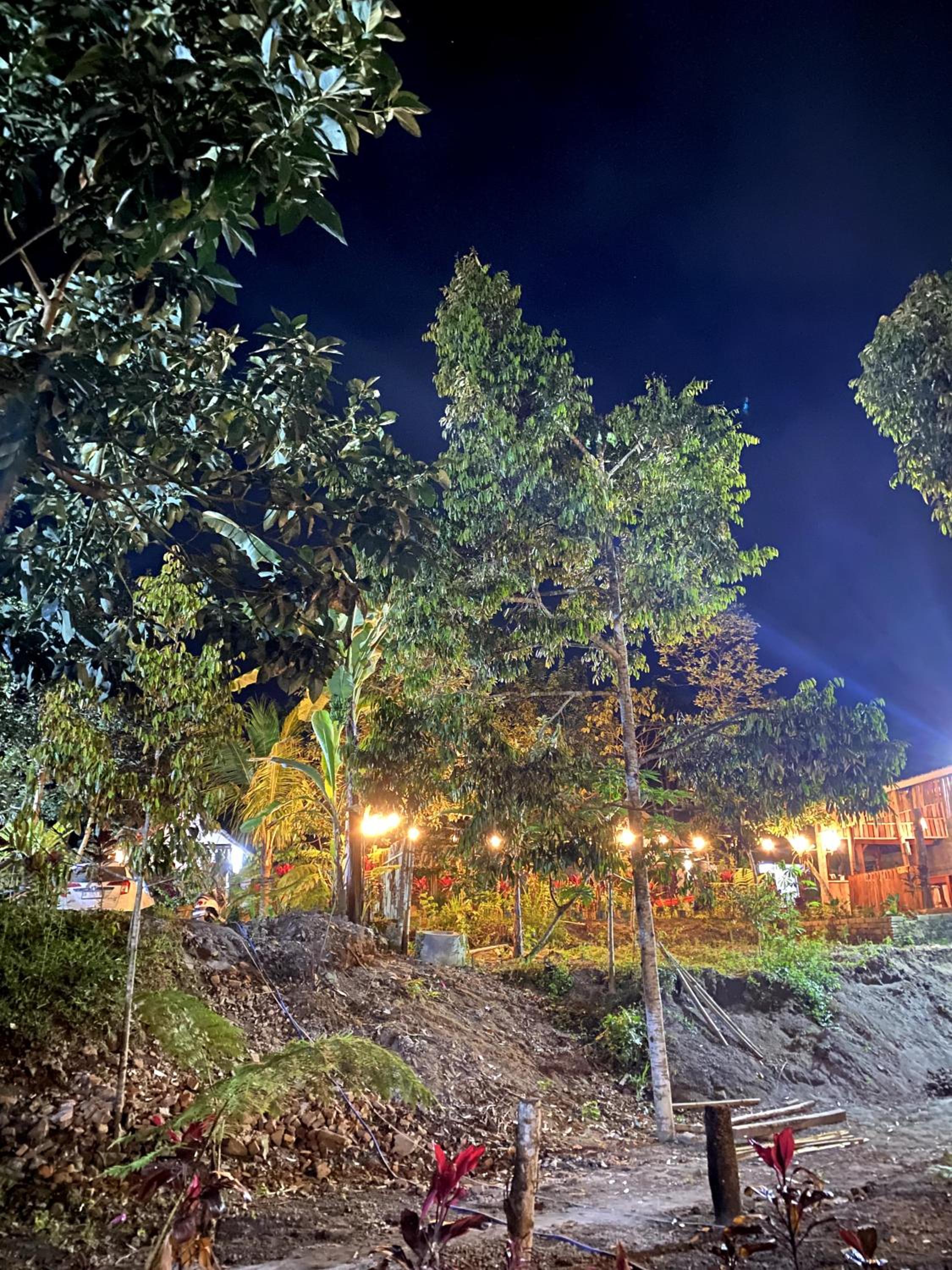 Avocado homestay