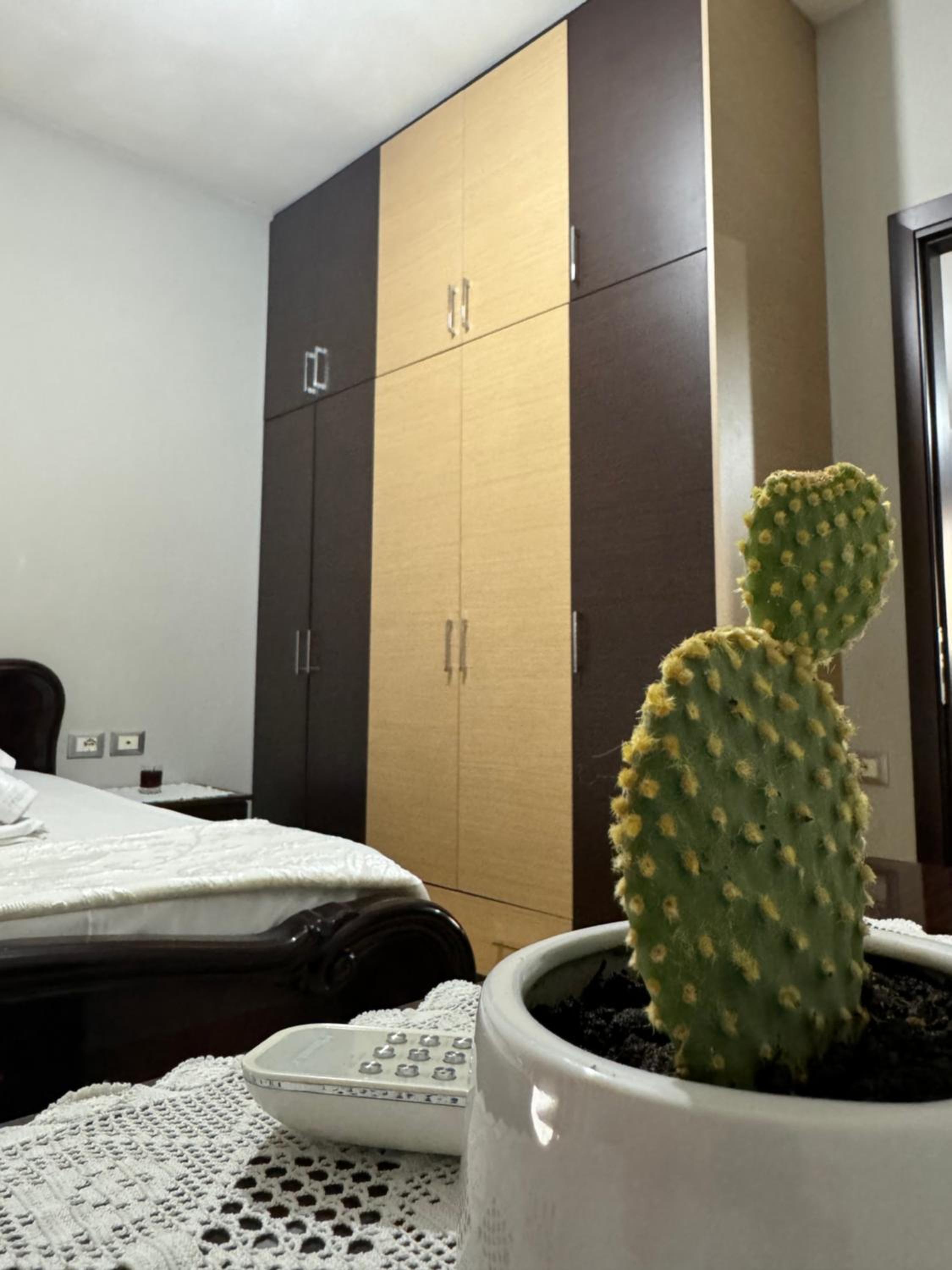 Gega's Apartment