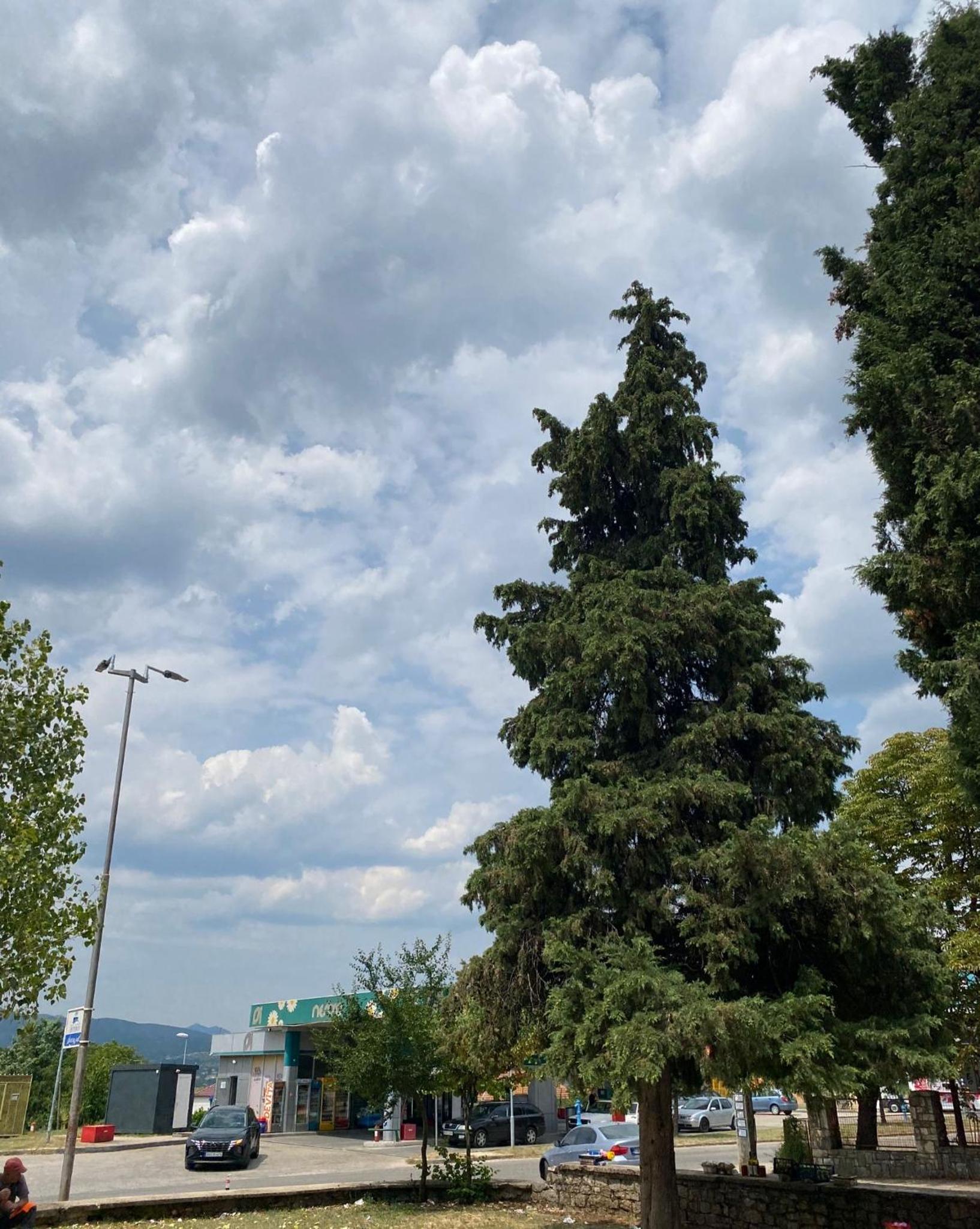 Apartman Bileca
