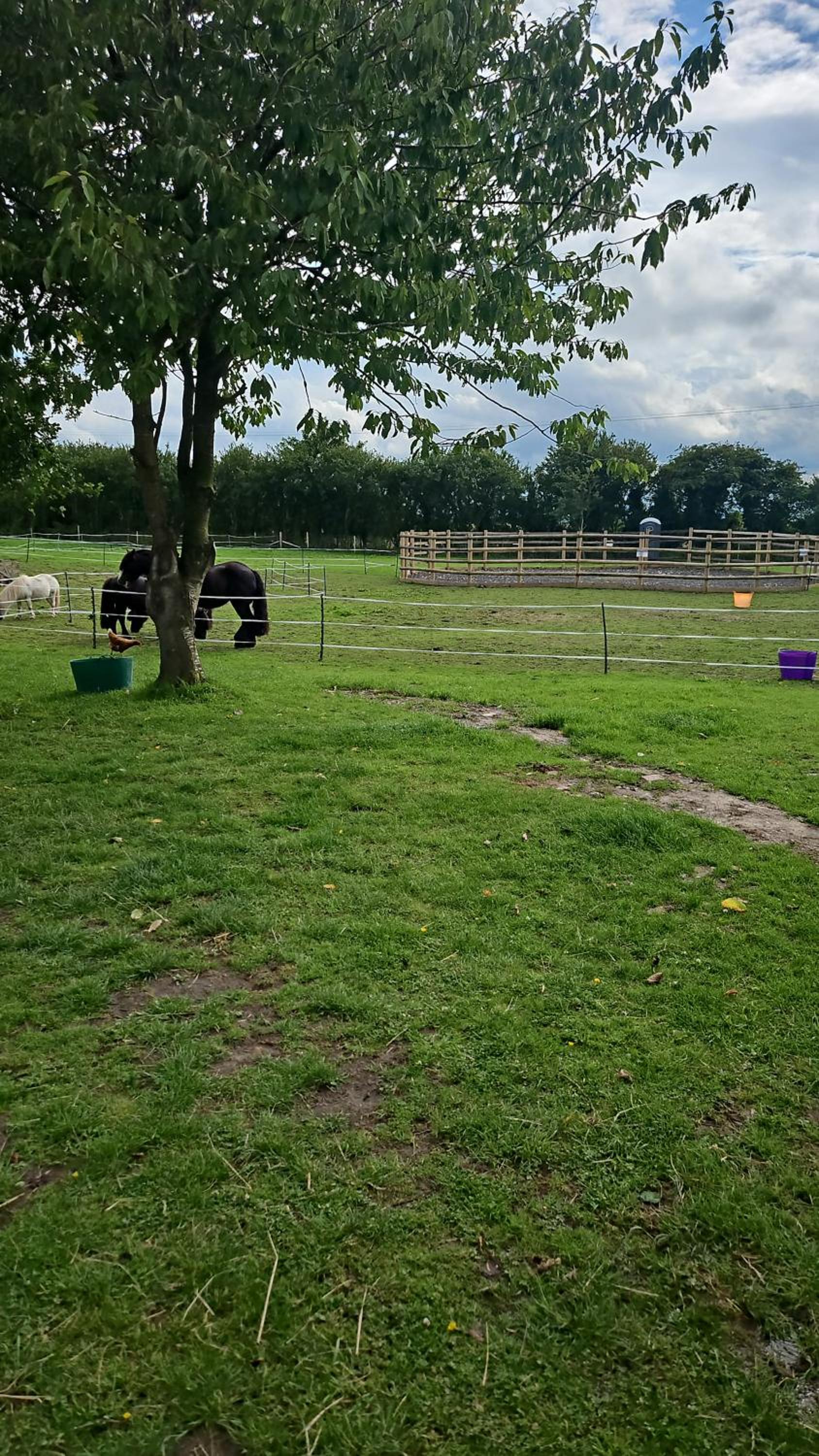 other