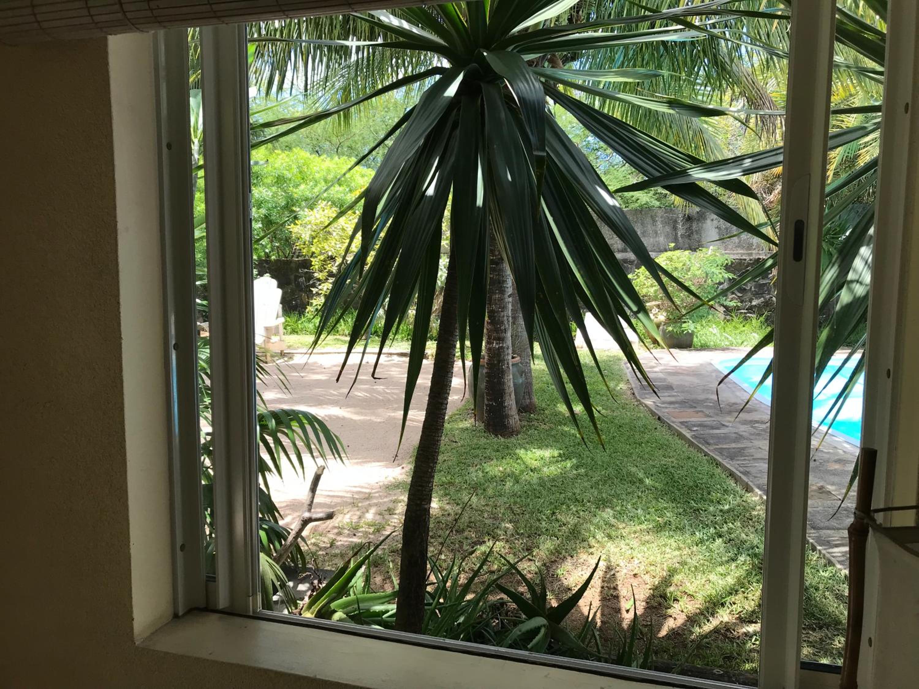 Tropical Cottage view 5