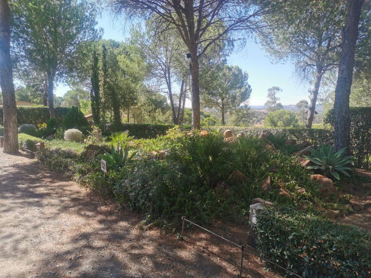 El Pueblo -komm ins Dorf- view 2
