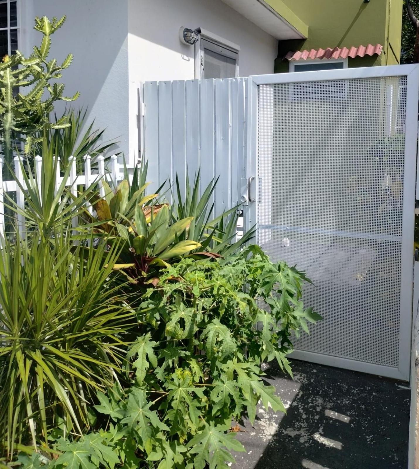 Serenity Hato Rey view 5