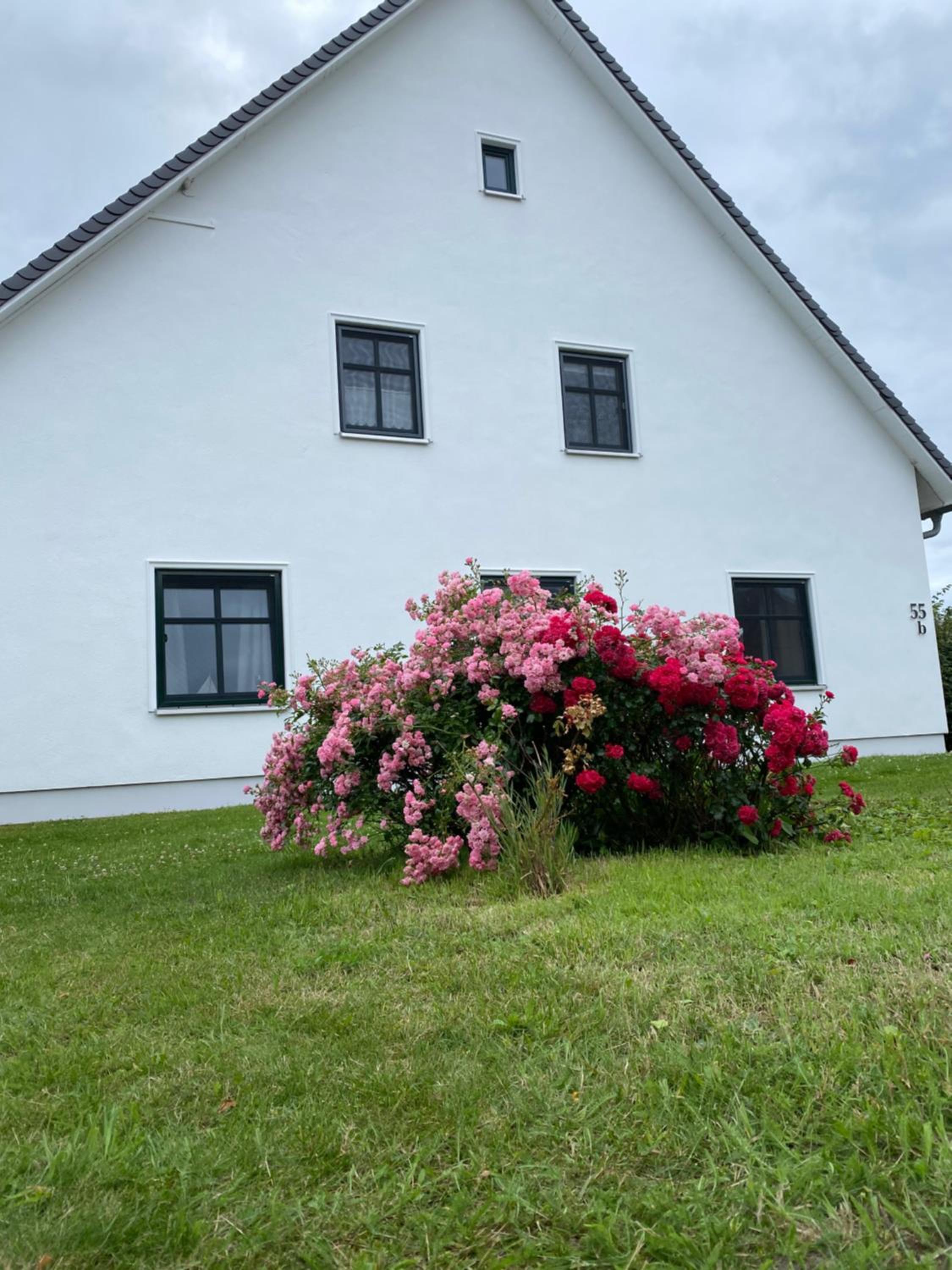 Ferienwohnung Groß Zicker