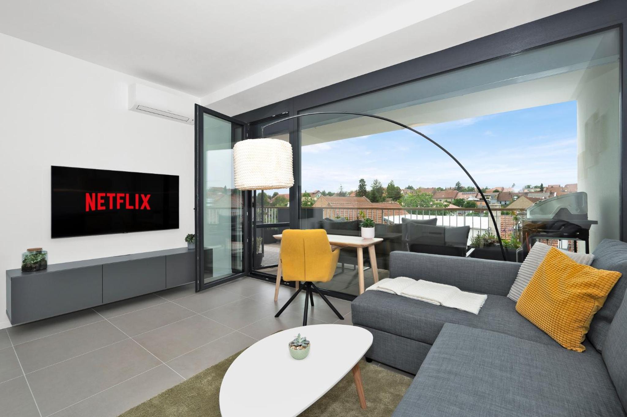 Fully equipped Apartments with Terraces, Free garage parking, Netflix & AC - by Apartmány Šlapanice cz