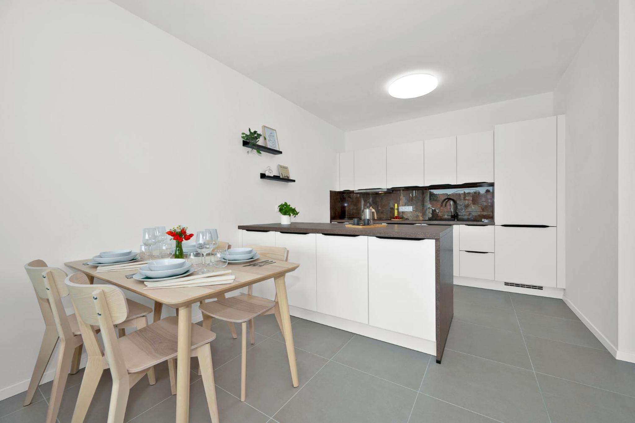 Fully equipped Apartments with Terraces, Free garage parking, Netflix & AC - by Apartmány Šlapanice cz