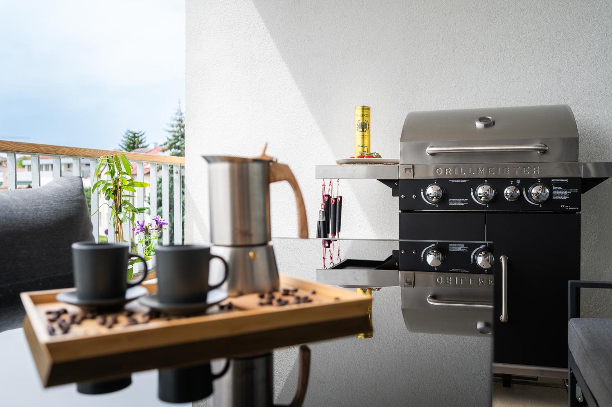 Fully equipped Apartments with Terraces, Free garage parking, Netflix & AC - by Apartmány Šlapanice cz