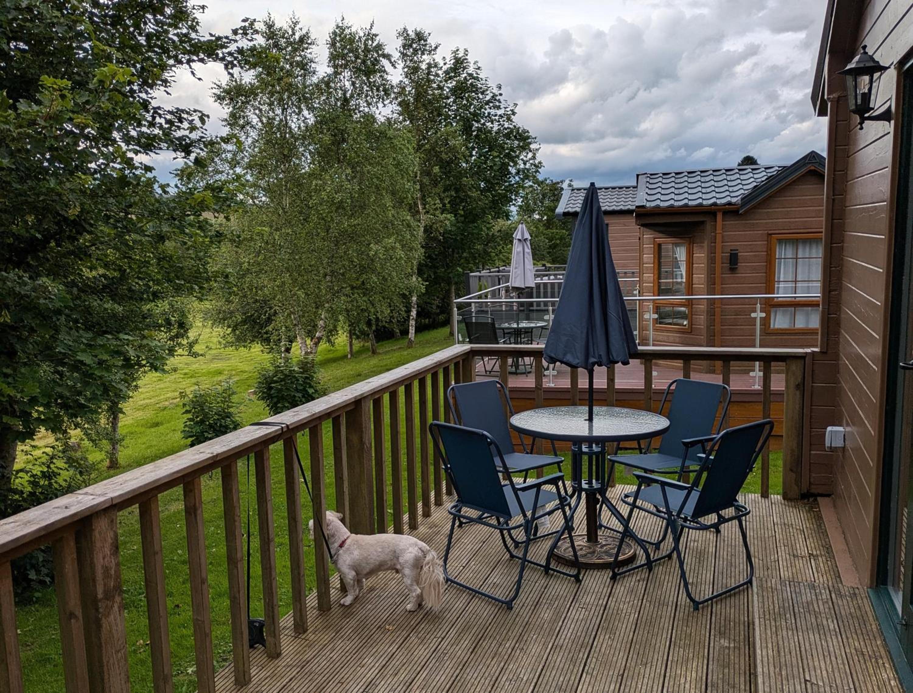 Pet Friendly - Lodge at Riverview Holiday Park view 3