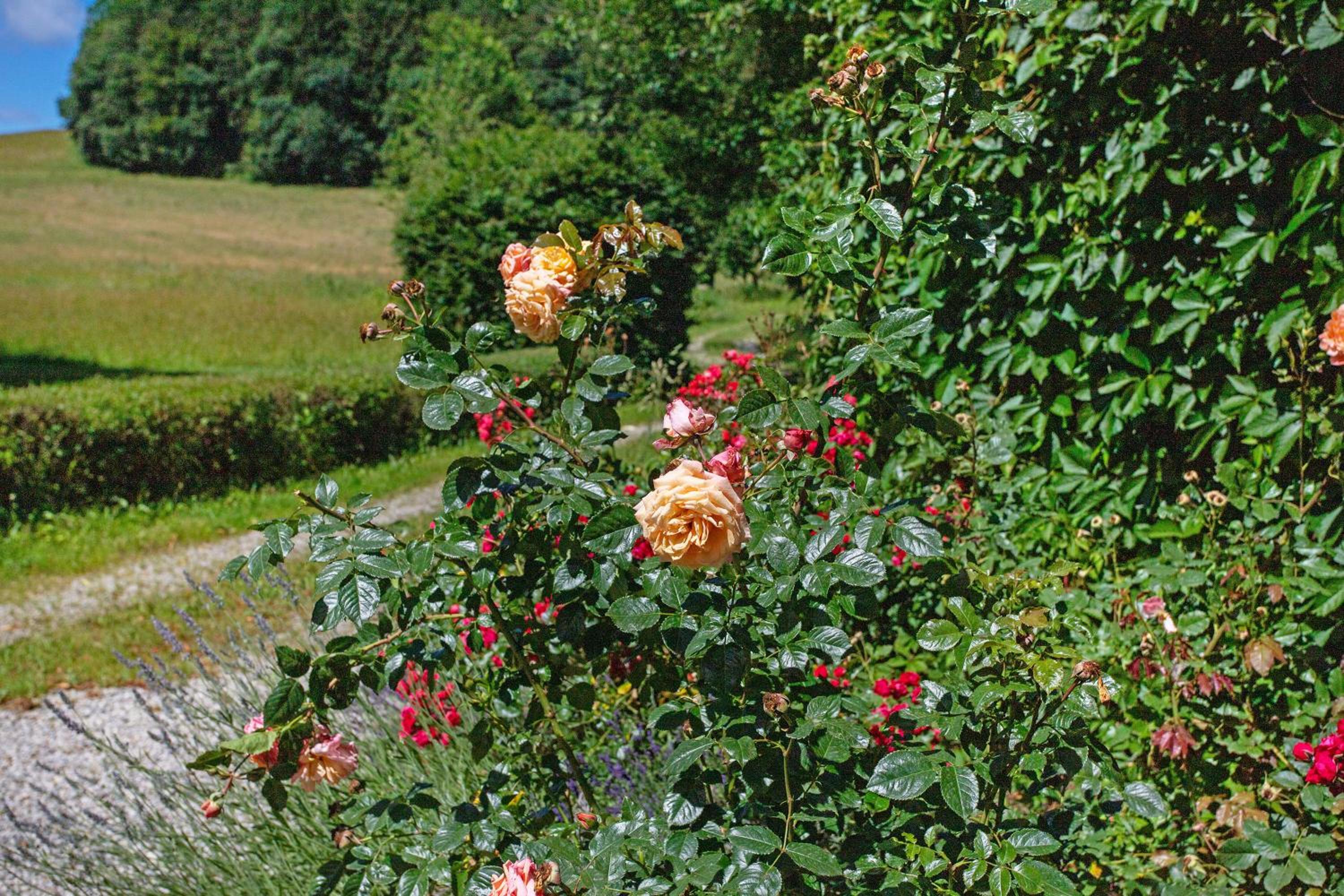 Gutshof an der Alten Linde