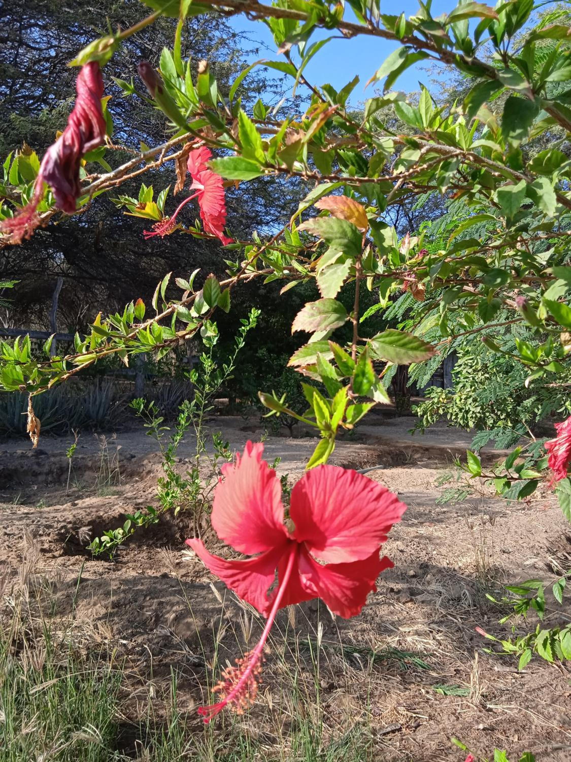 Fundo Matufa Mancora