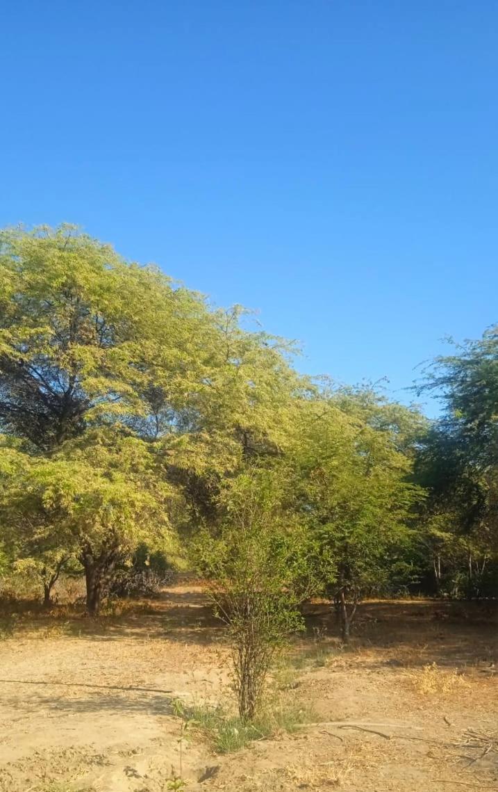Fundo Matufa Mancora