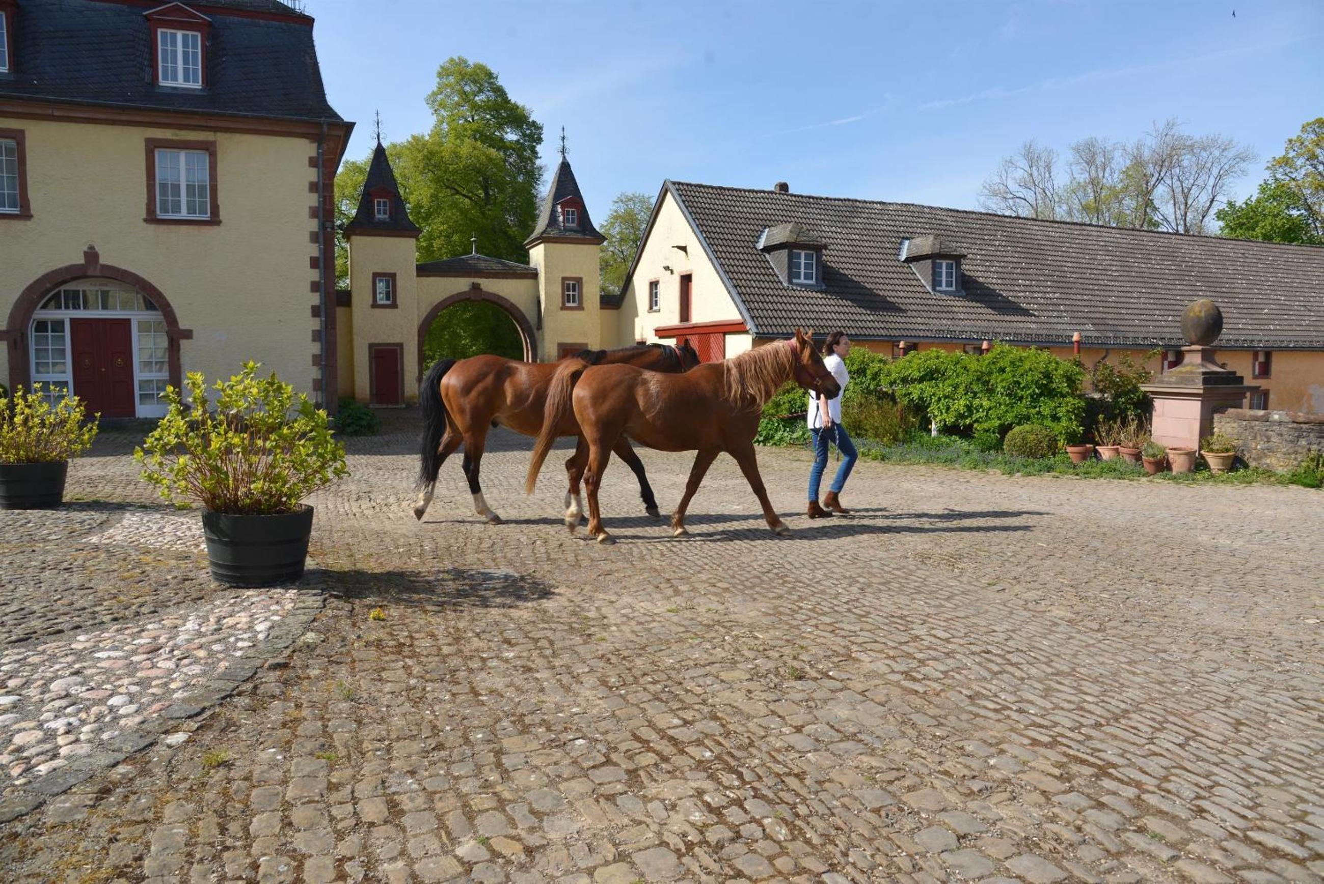 La Maison im Park von Schloss Schmidtheim