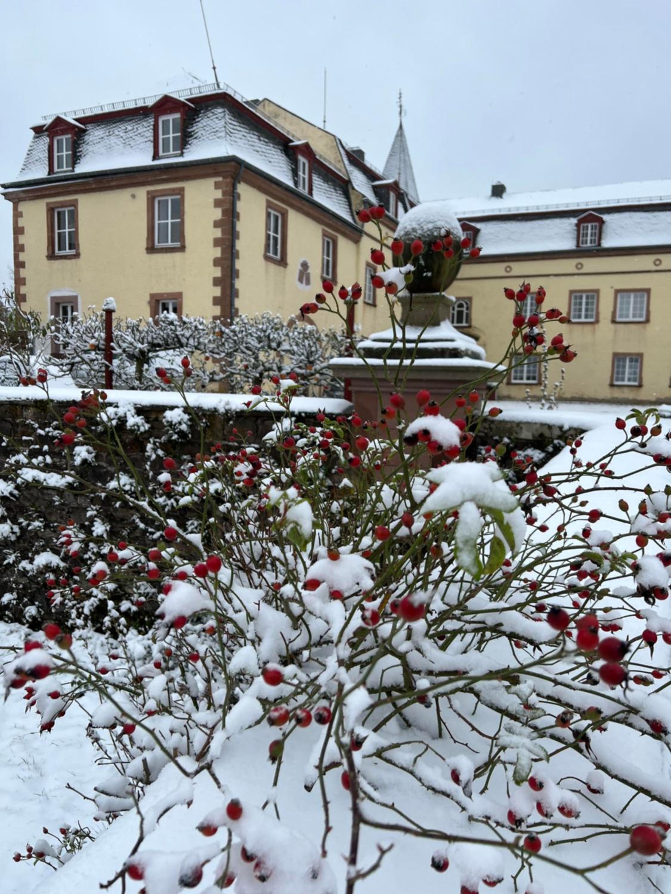 La Maison im Park von Schloss Schmidtheim