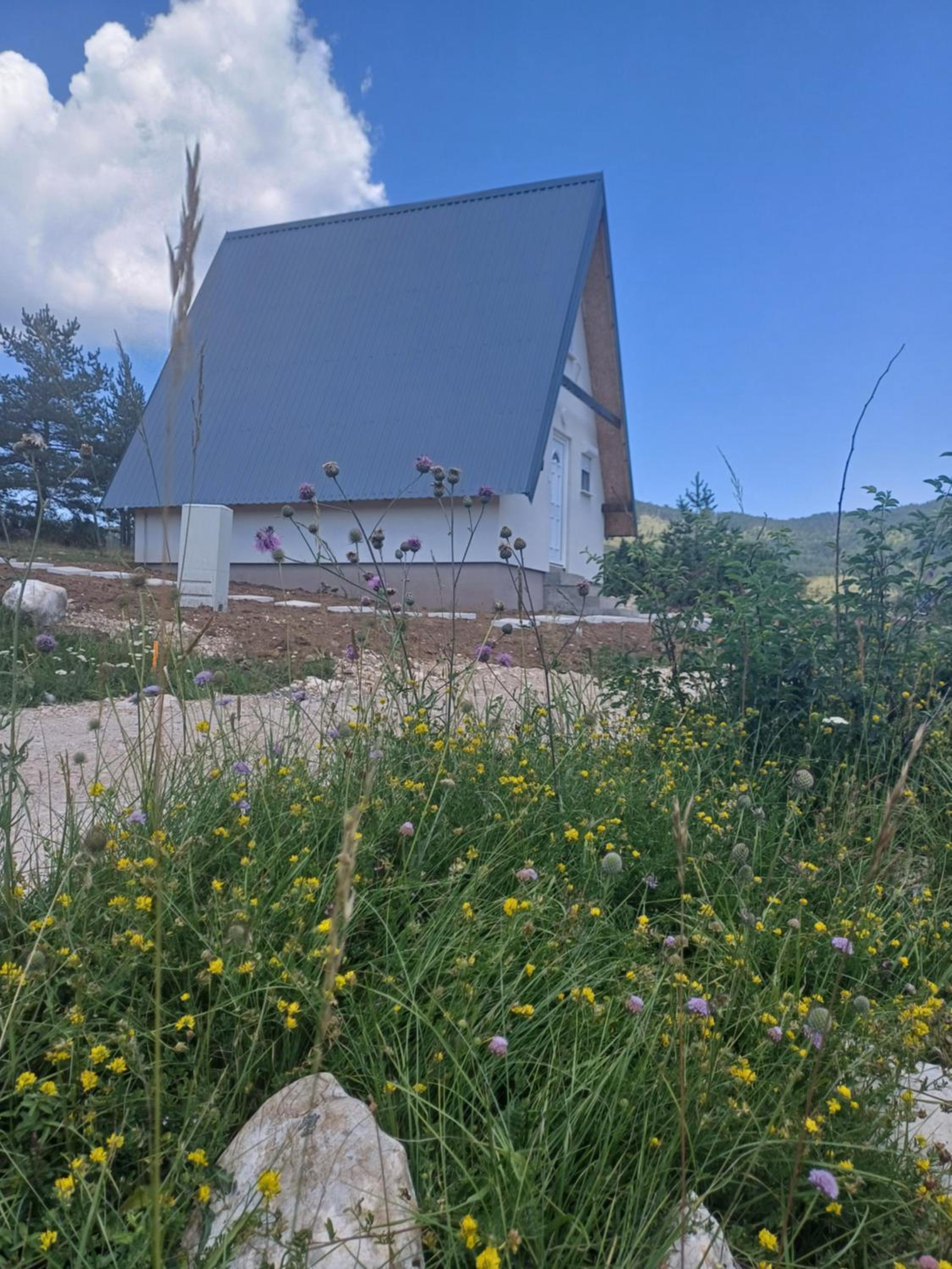 Mountain Oasis