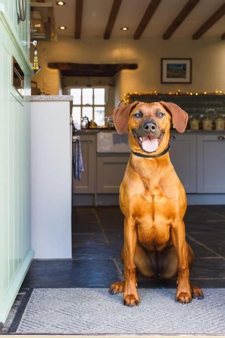 Converted Buttery Cottage in Pembrokeshire