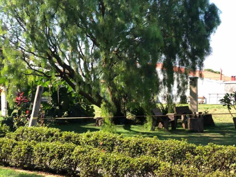 Casa dos chorões