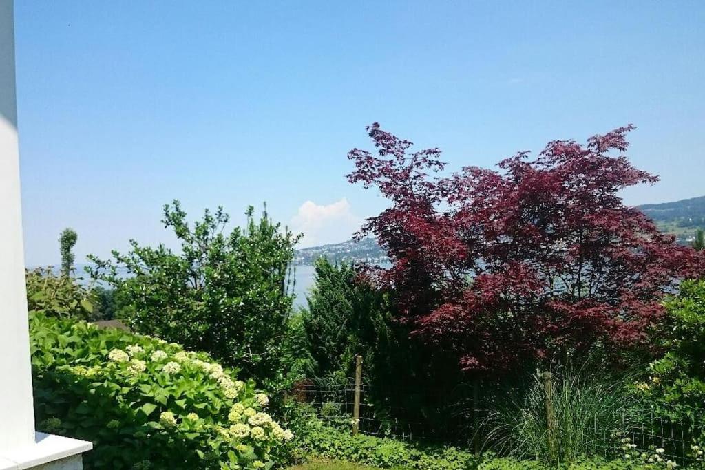 Lovely 60ies Villa on the lake, pool and Sauna