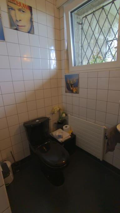 Lovely 60ies Villa on the lake, pool and Sauna