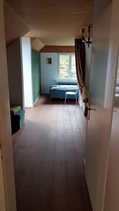 Lovely 60ies Villa on the lake, pool and Sauna