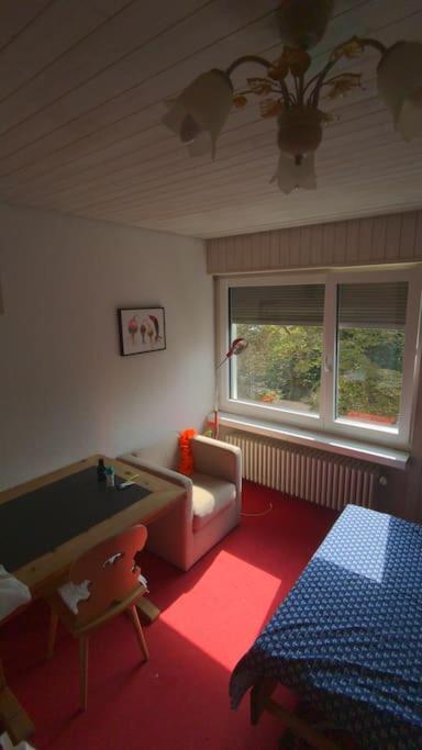 Lovely 60ies Villa on the lake, pool and Sauna