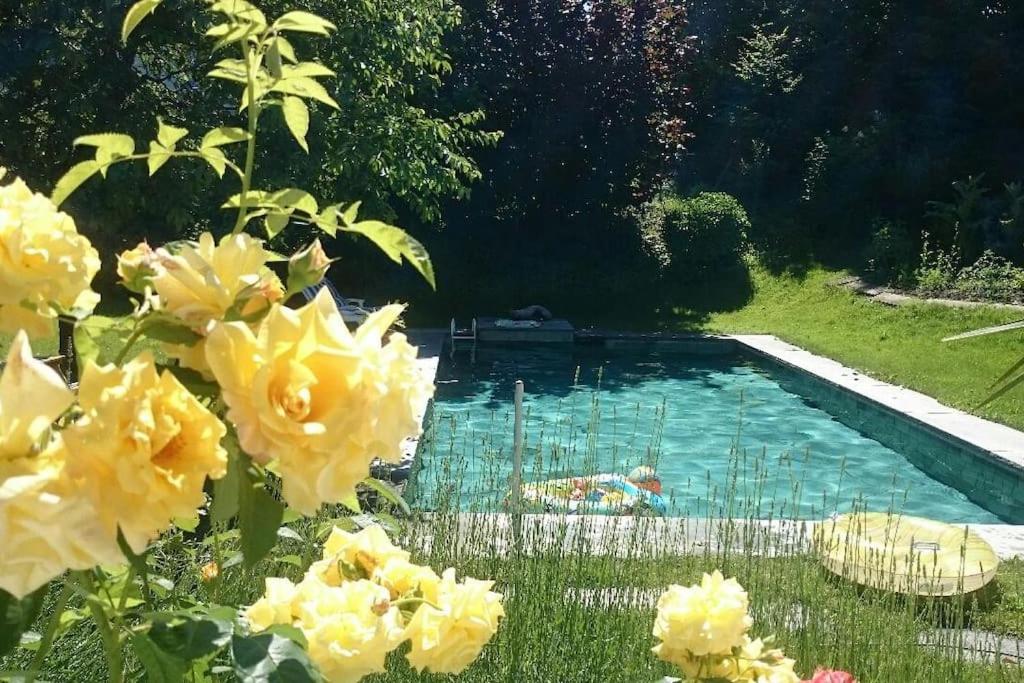 Lovely 60ies Villa on the lake, pool and Sauna