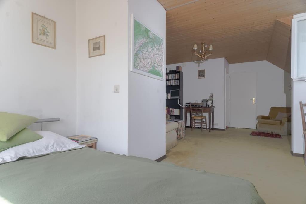 Lovely 60ies Villa on the lake, pool and Sauna