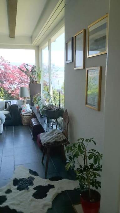 Lovely 60ies Villa on the lake, pool and Sauna