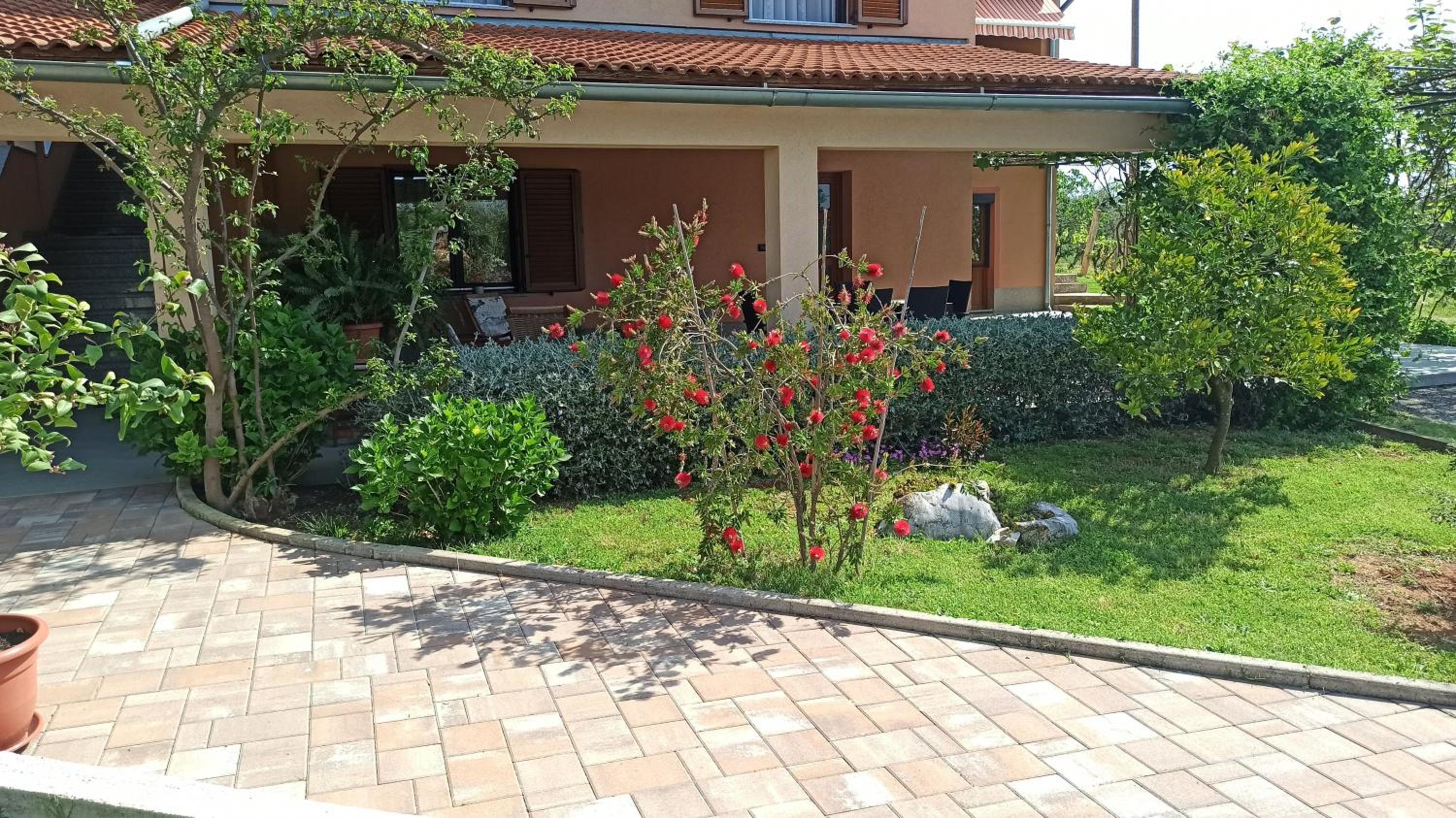 Photo 45