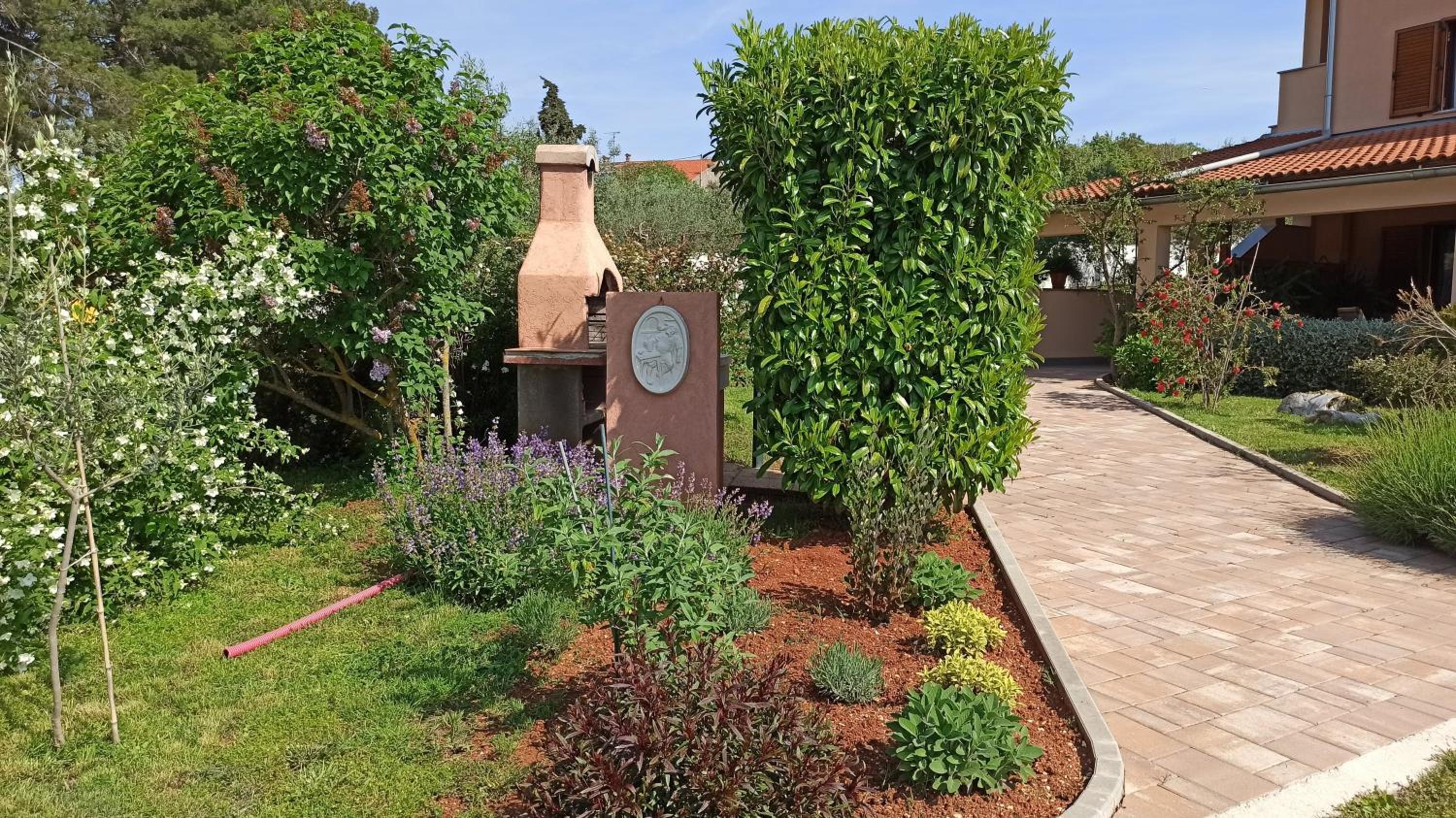 Apartment Olive
