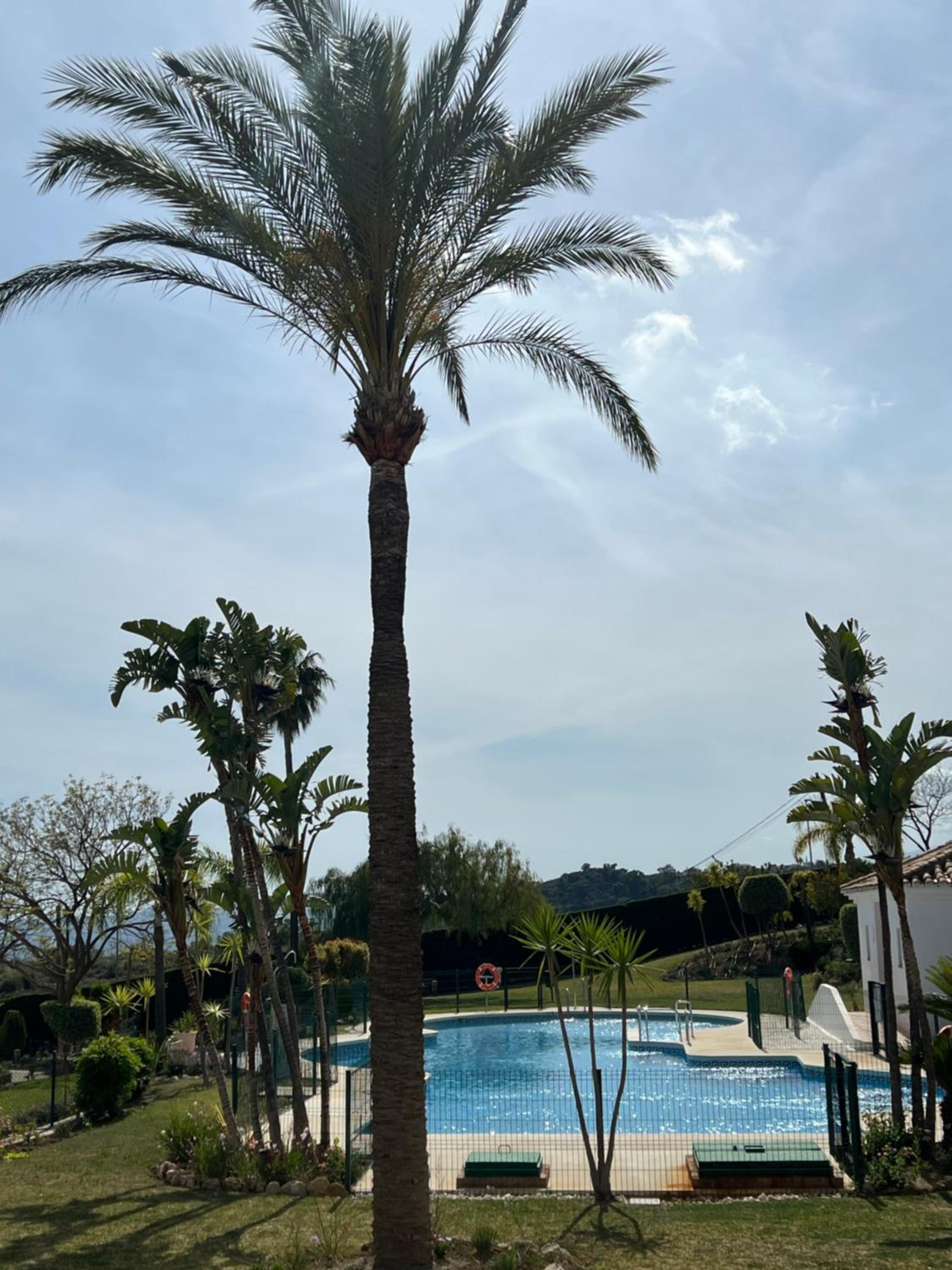 Finca San Antonio Two Bedroom apartment with swimming pool