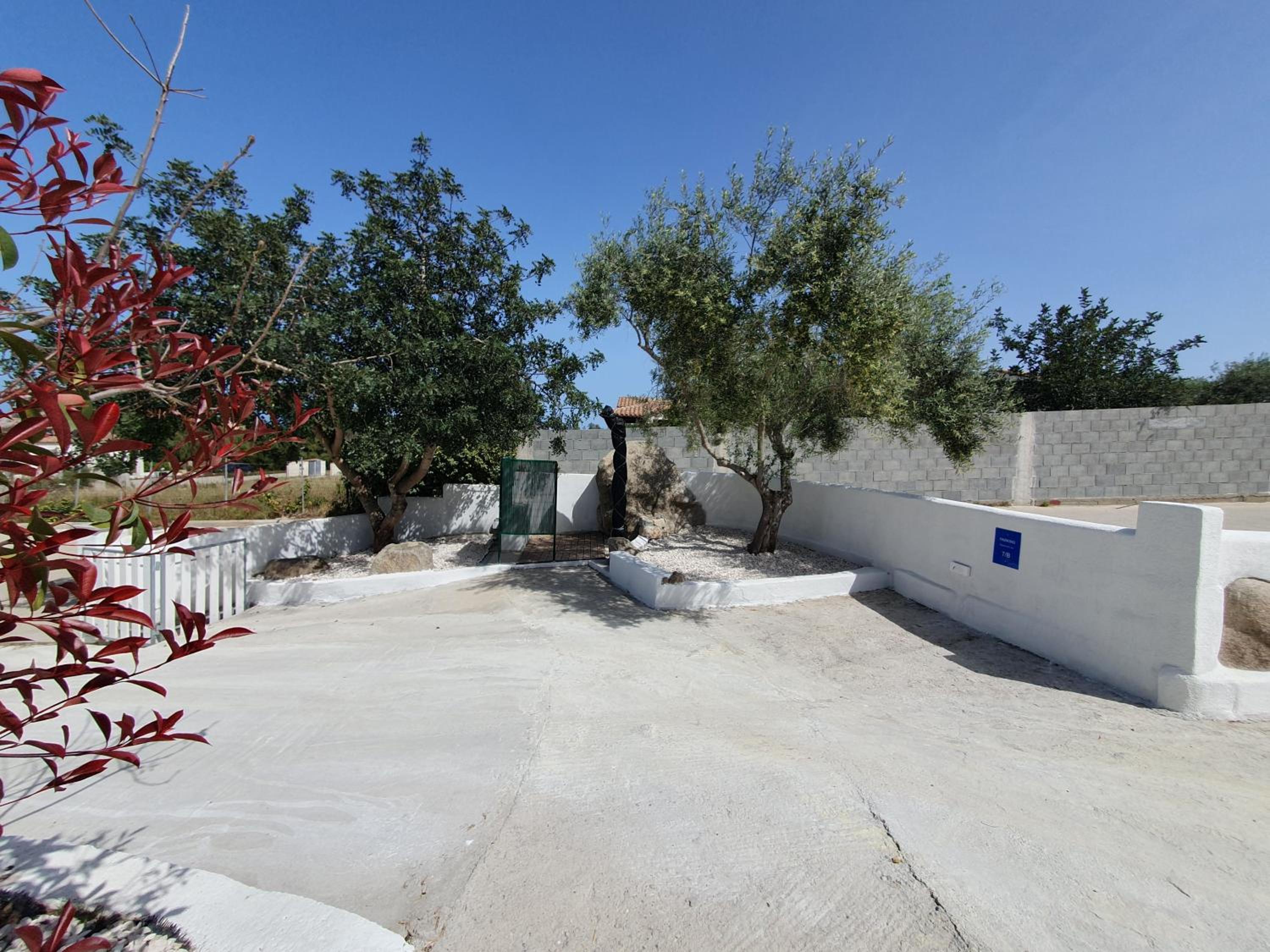 Photo 46