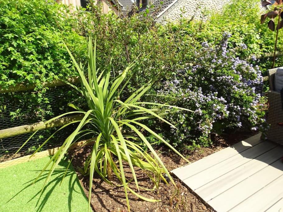 3 double bed house with parking in Sheringham view 4