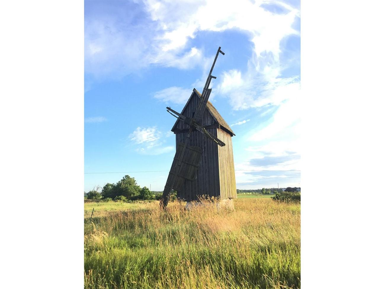 Photo 20