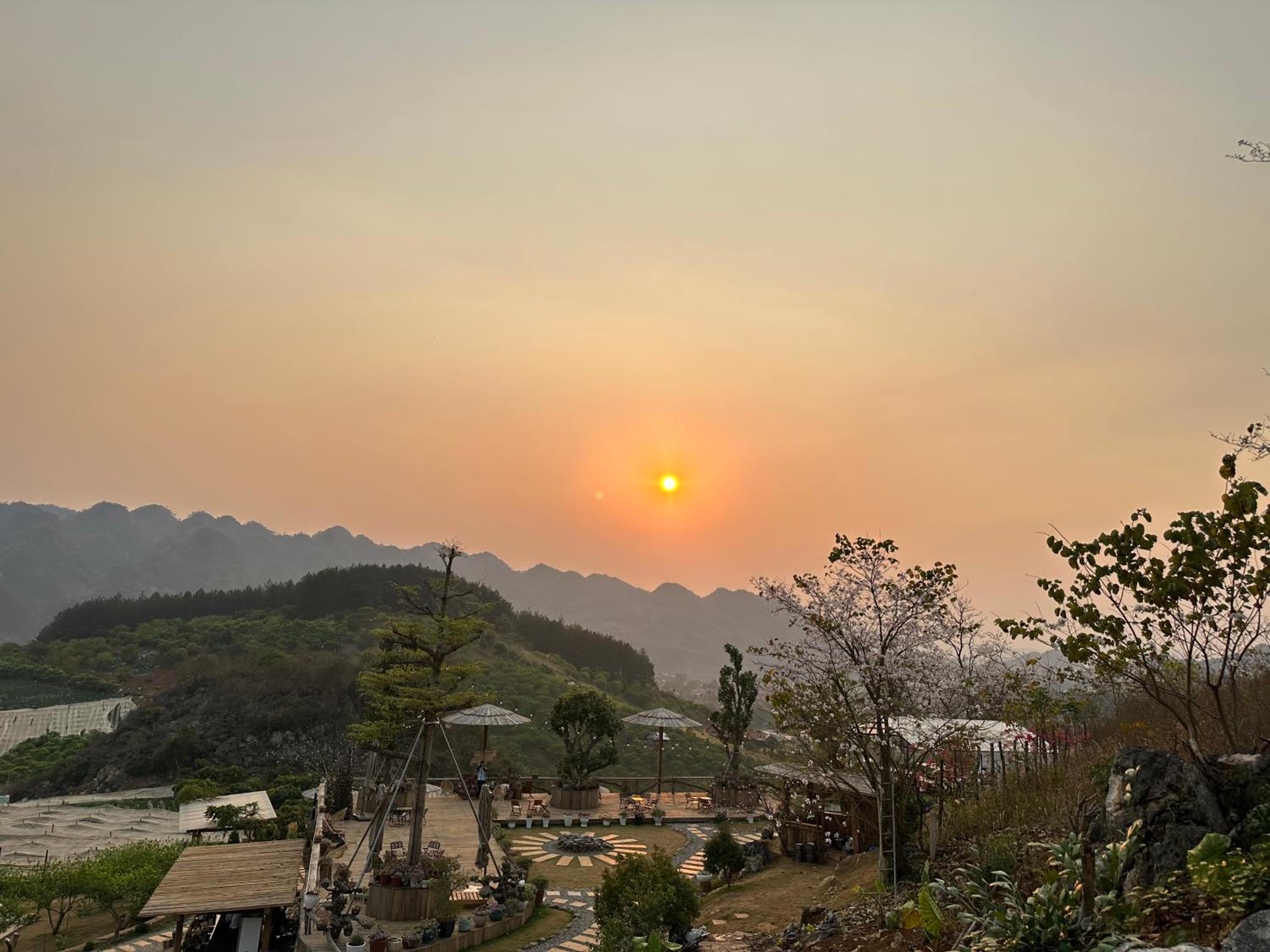 Green farm home & coffee view 3