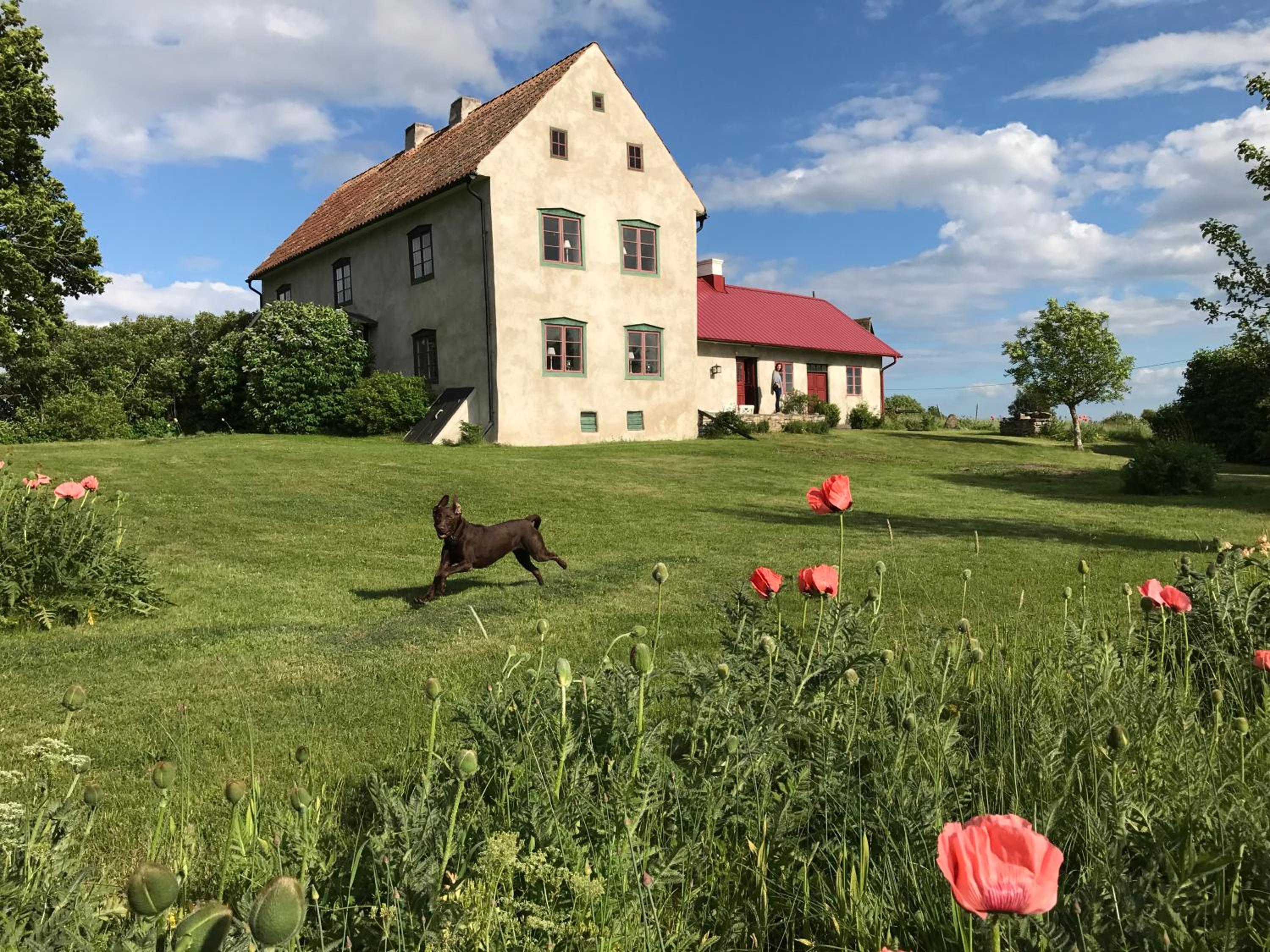 Photo 21