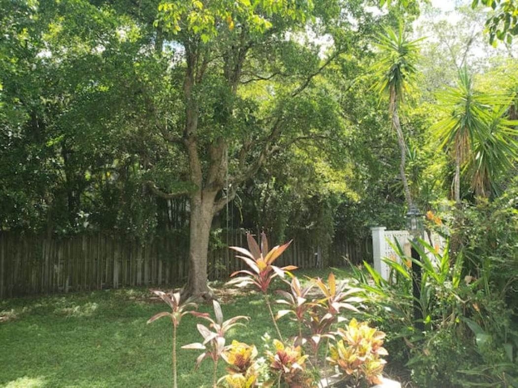 Apts with Backyard Near Fort Lauderdale Beach, Nightlife, Cruise Port, Airport view 3