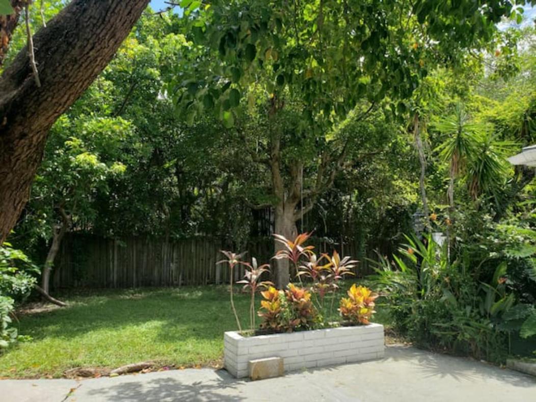 Apts with Backyard Near Fort Lauderdale Beach, Nightlife, Cruise Port, Airport view 4