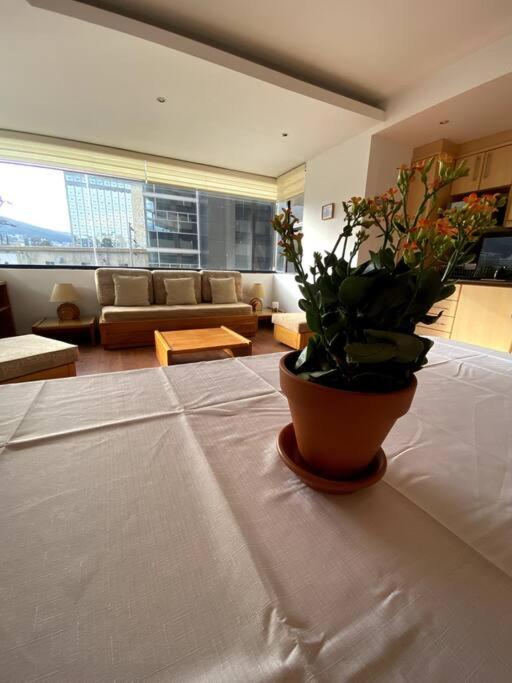 Dept San Francisco by Encantadas