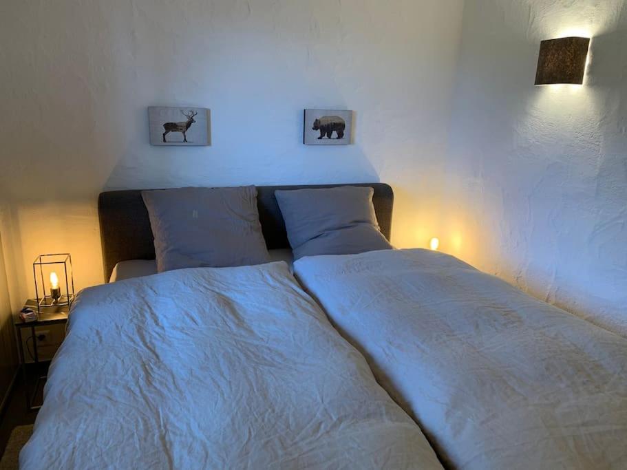 Magnifique chalet appartement à Villars, vue sur les alpes