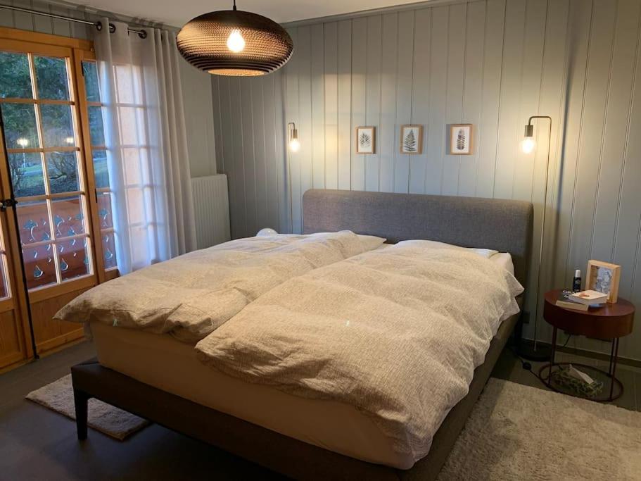 Magnifique chalet appartement à Villars, vue sur les alpes