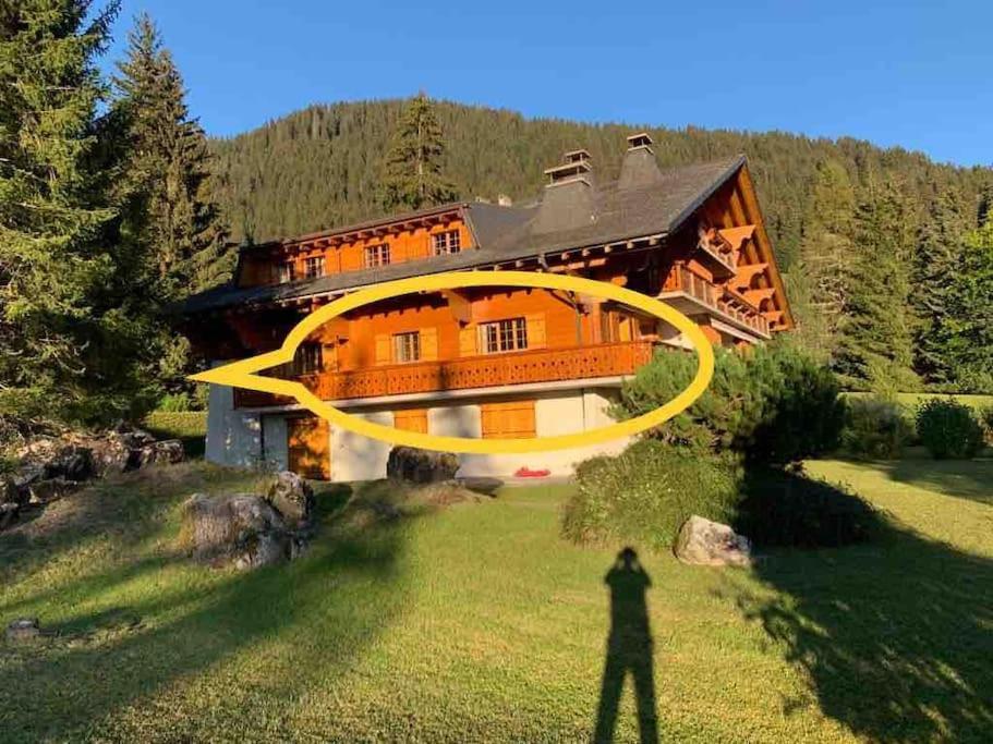 Magnifique chalet appartement à Villars, vue sur les alpes