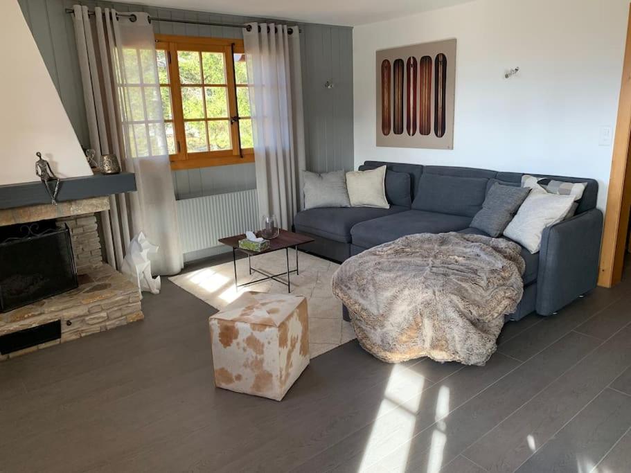 Magnifique chalet appartement à Villars, vue sur les alpes